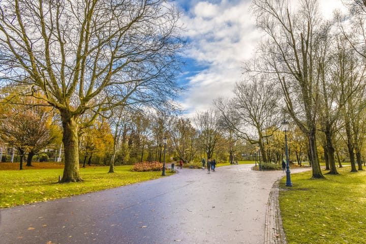 Foto 19 van Reinwardtstraat 110