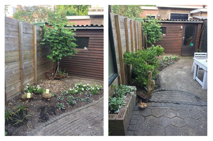 Foto 24 van Van der Mondestraat 121