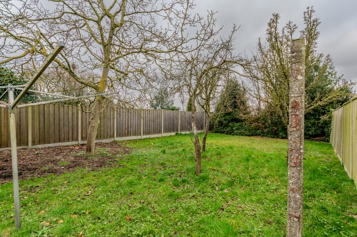 Foto 36 van Plantagebaan 186-A