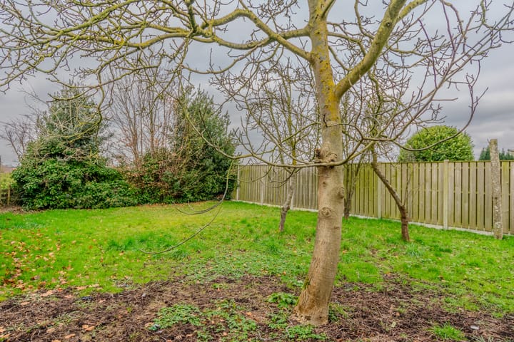 Foto 37 van Plantagebaan 186-A