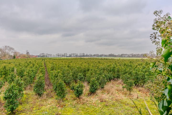 Foto 39 van Plantagebaan 186-A