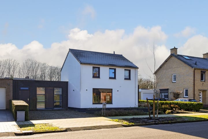 Foto 2 van Boshoverbeek 29