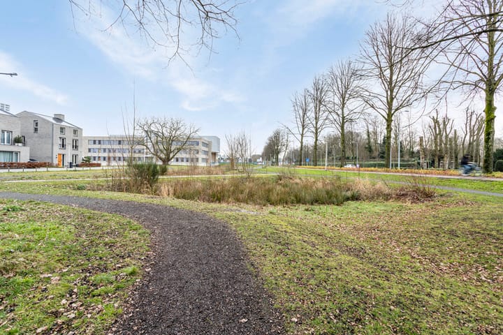 Foto 33 van Pieter Aertsenstraat 6