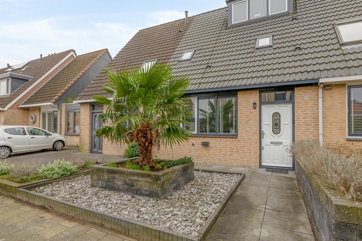 Foto 9 van Zwette 15