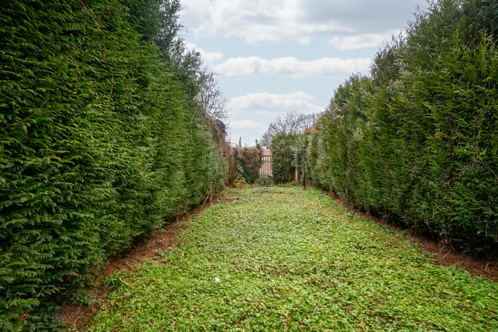 Foto 20 van Hammolenweg 18