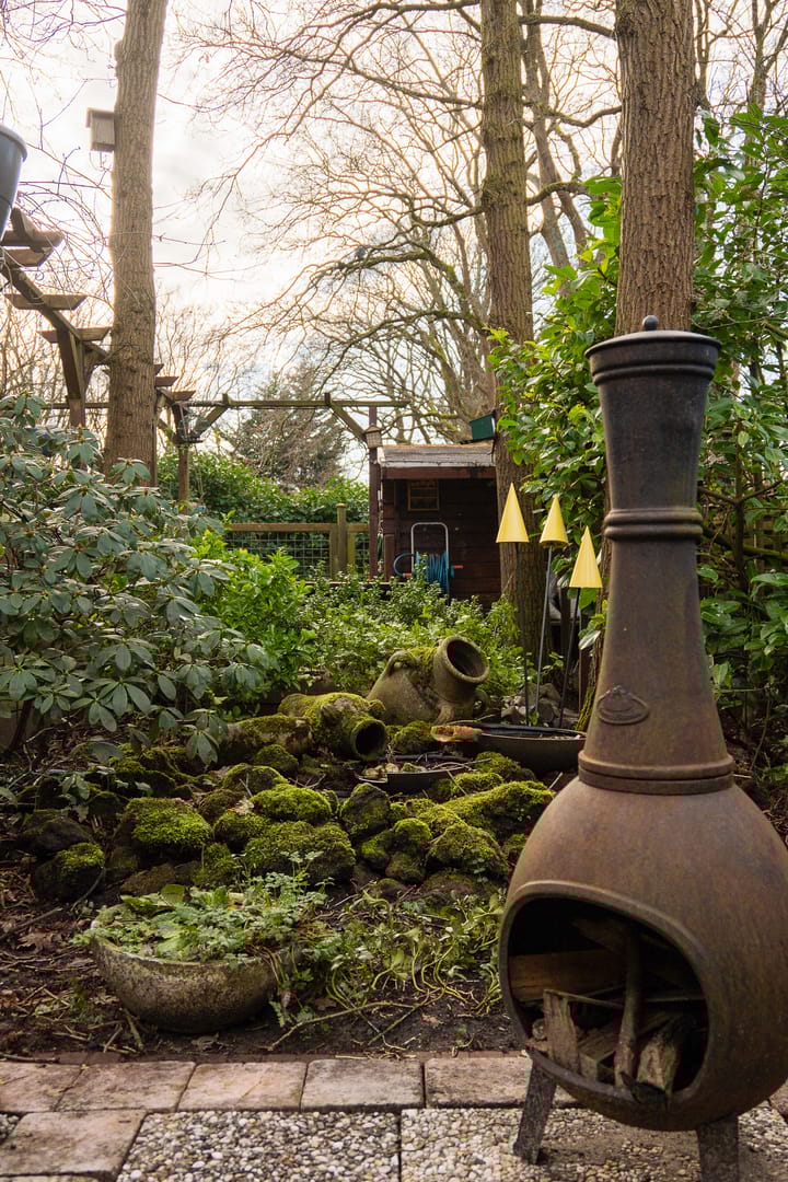 Foto 19 van Wittelaan 6-A