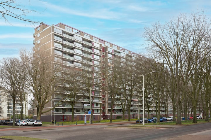 View photo of Nieuwendamlaan 232