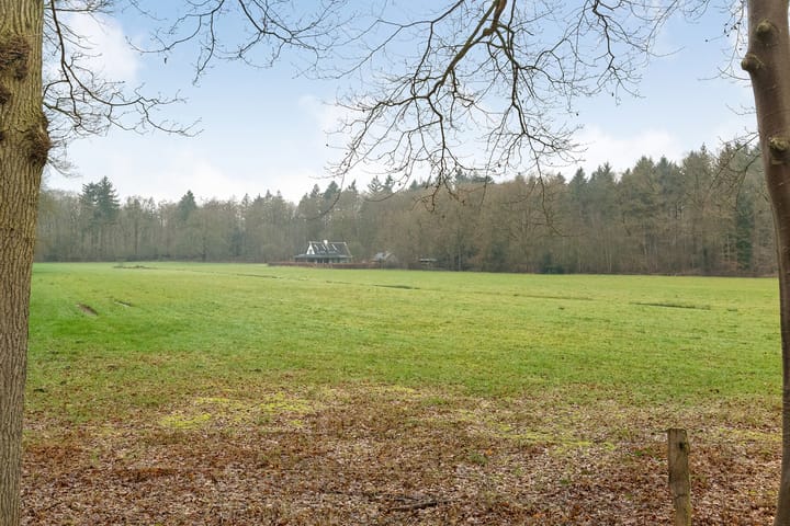 Foto 6 van Libanonweg 25