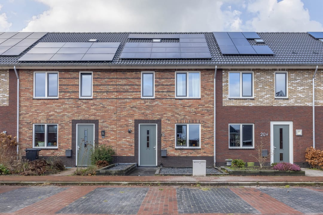 Foto 1 van Tureluur 18