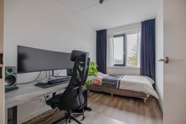 Foto 18 van Tureluur 18