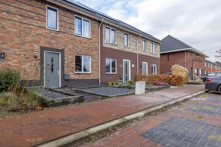 Foto 37 van Tureluur 18