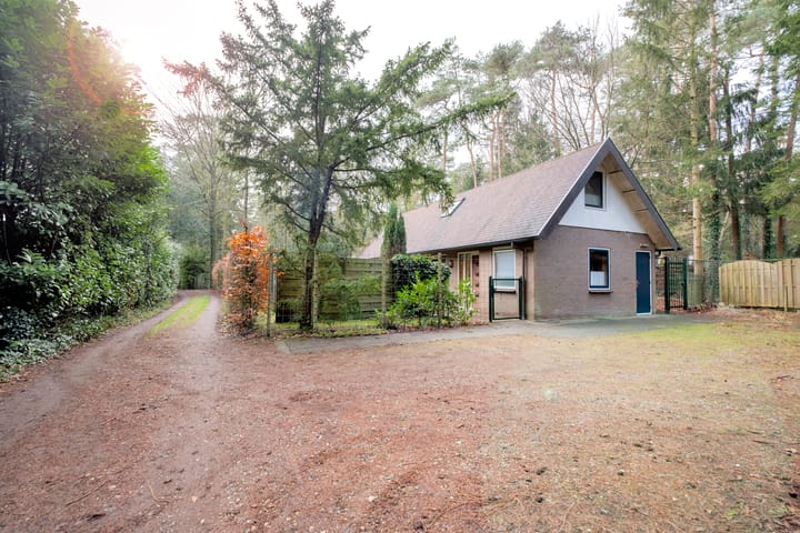 Foto 1 van Bosuilpad 1