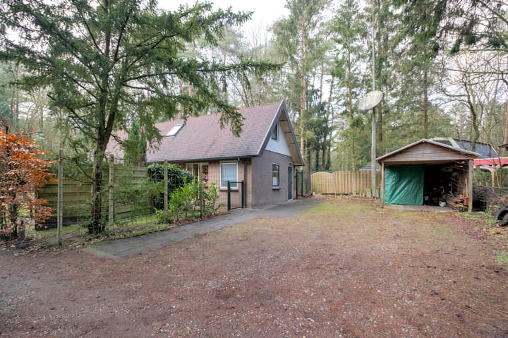 Foto 2 van Bosuilpad 1