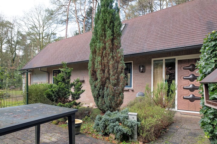 Foto 3 van Bosuilpad 1