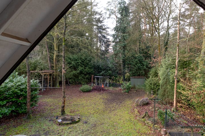 Foto 31 van Bosuilpad 1