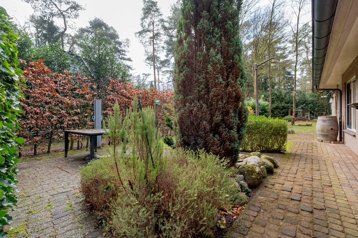 Foto 32 van Bosuilpad 1