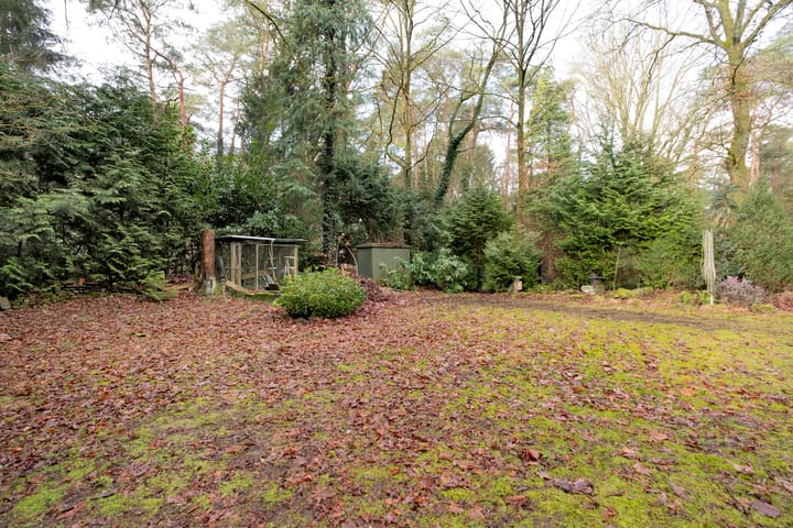 Foto 35 van Bosuilpad 1