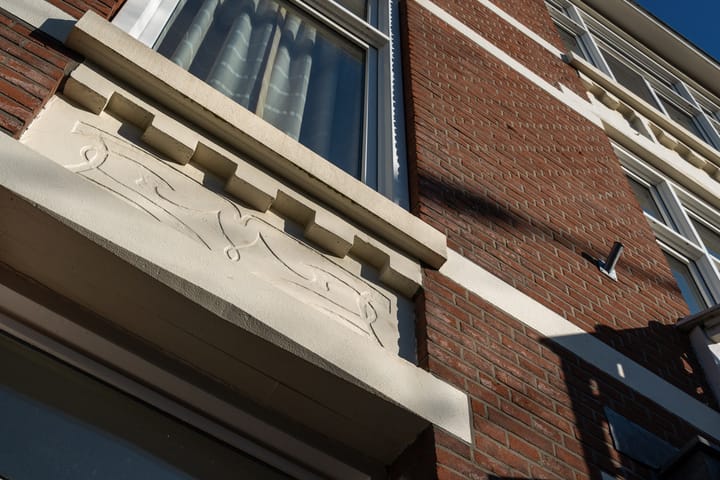 Foto 7 van Laan van Nieuw-Oost-Indië 244