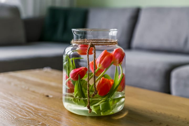 Foto 8 van Kilse Suikerpeer 25