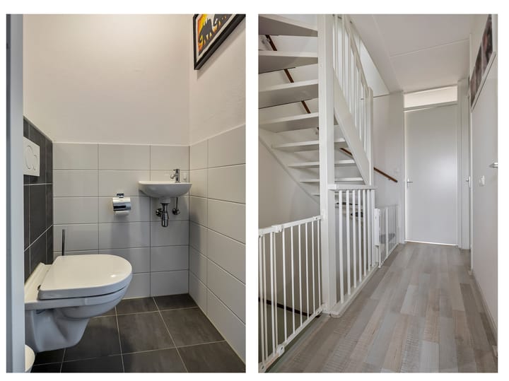 Foto 11 van Kilse Suikerpeer 25