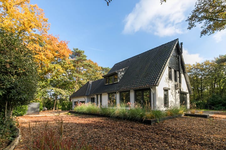 Molenheide 1