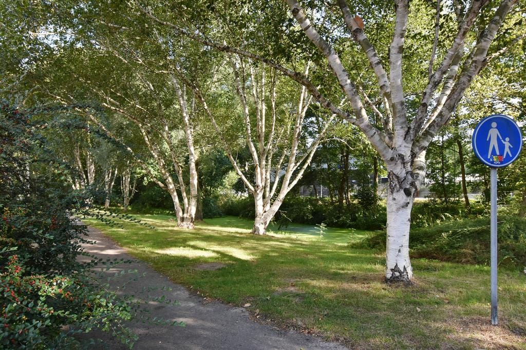 Foto 29 van Cees Laseurlaan 1067