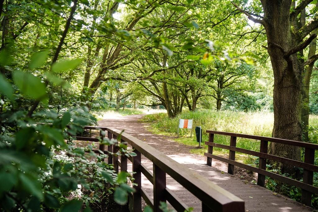 Foto 30 van Cees Laseurlaan 1067