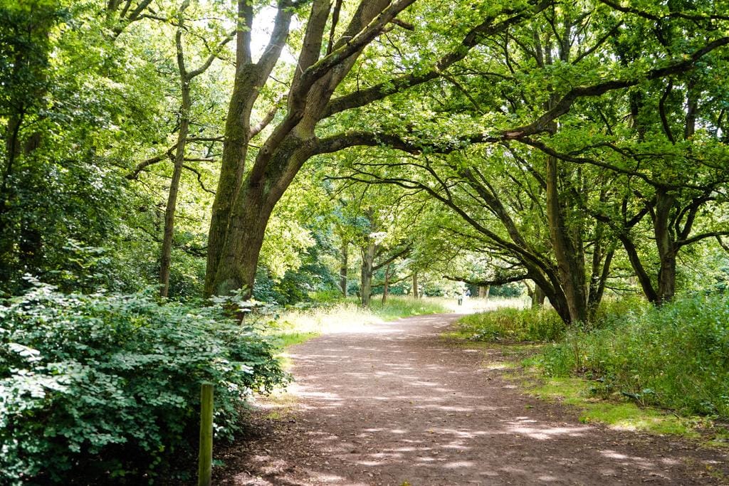 Foto 31 van Cees Laseurlaan 1067