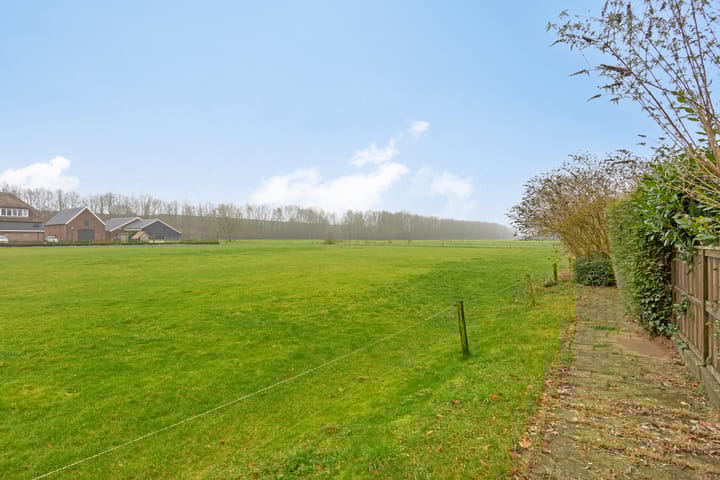 Foto 38 van De Haantjes 39