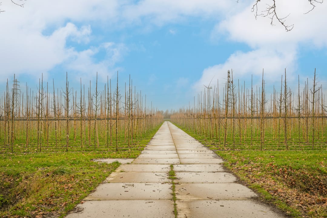 Foto 41 van Pottumsestraat 28-A