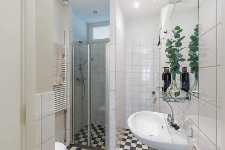 Foto 13 van Borgesiusstraat 43-A