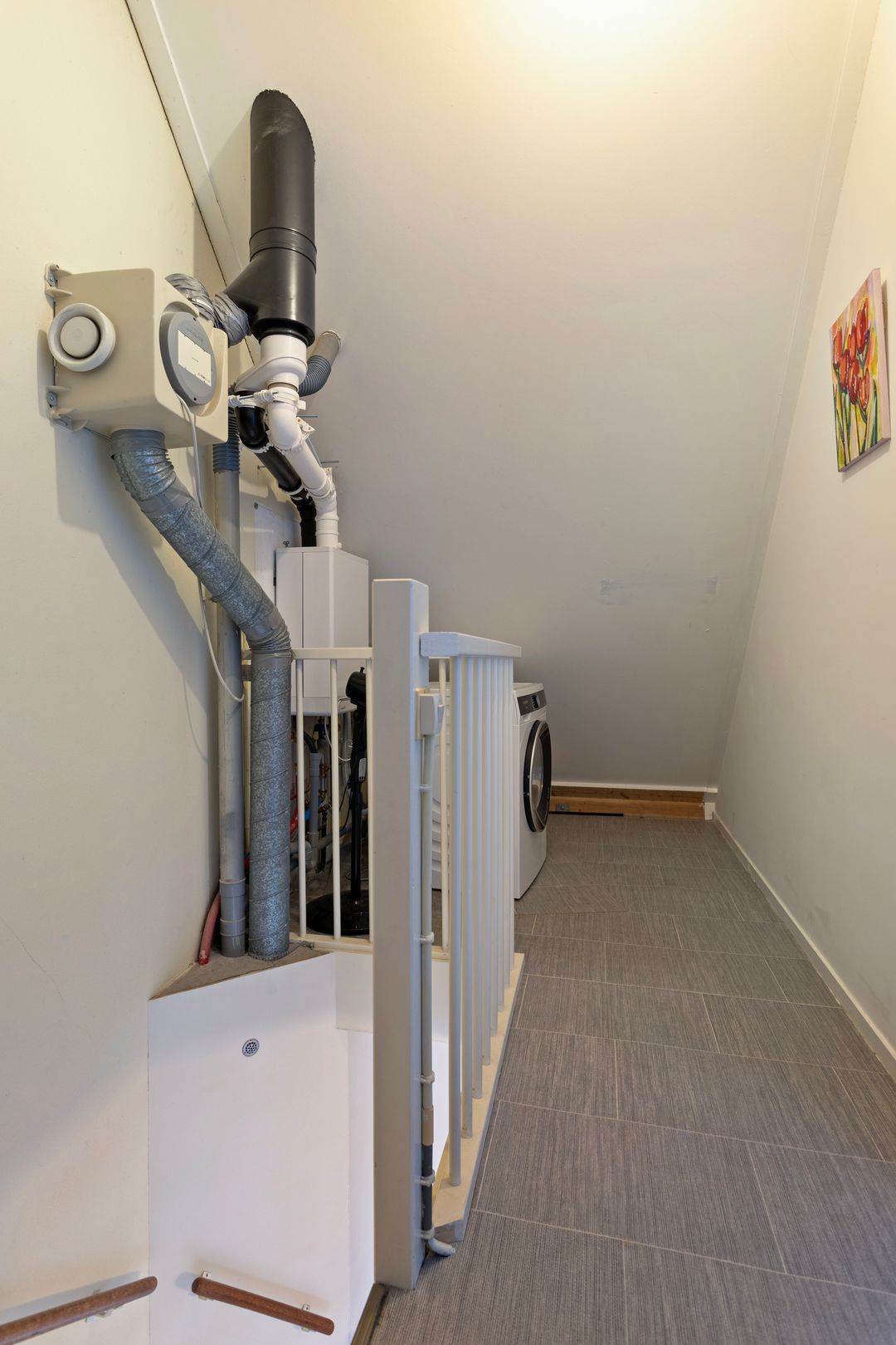 Foto 16 van Meerkoet 26