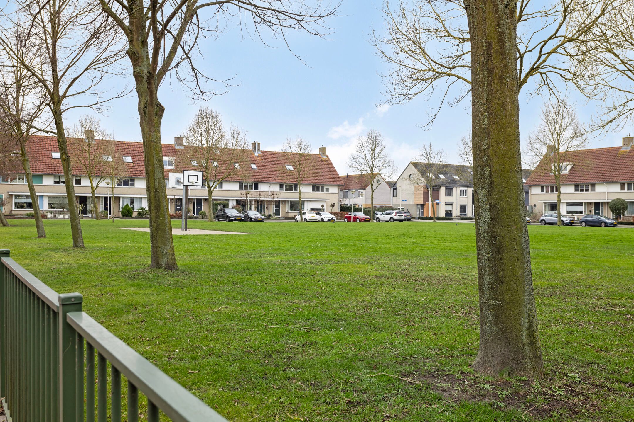 Foto 21 van Meerkoet 26