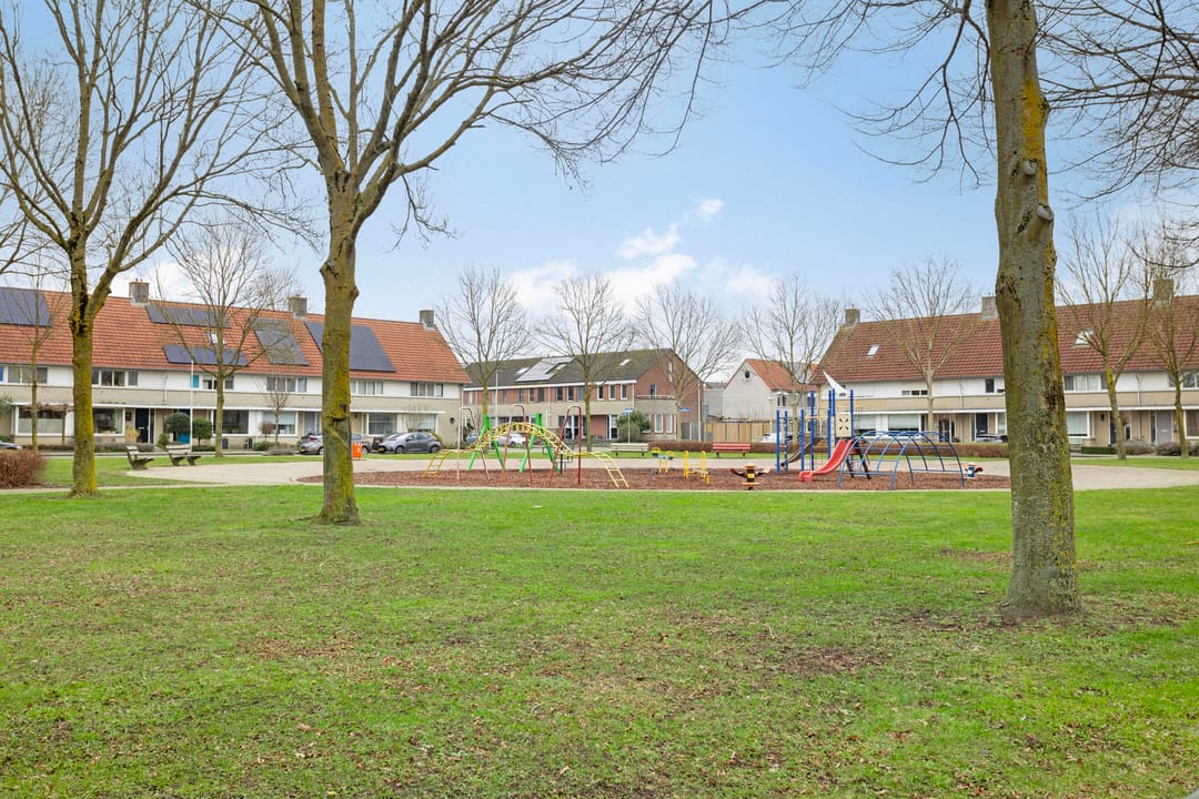 Foto 22 van Meerkoet 26