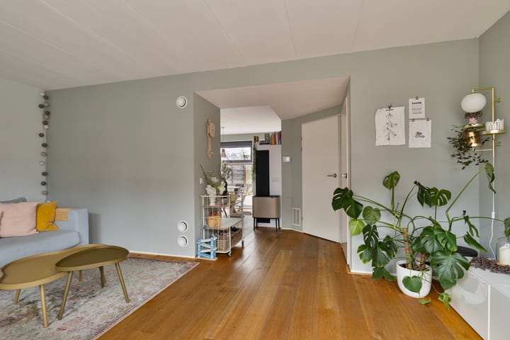 Foto 7 van Zuidmaad 20