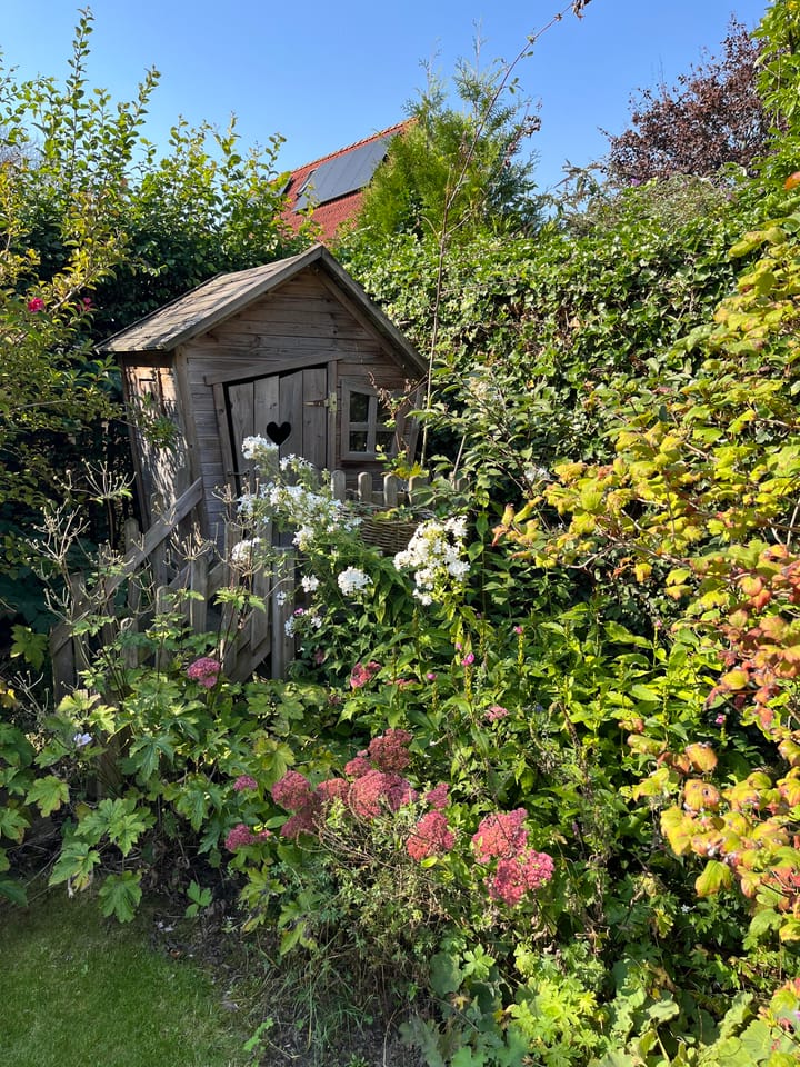 Foto 35 van Zuidmaad 20