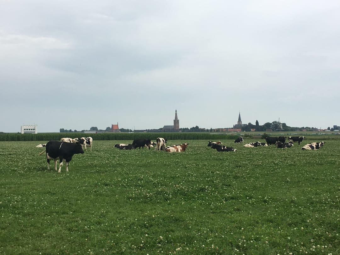 Foto 31 van Regenboog 23