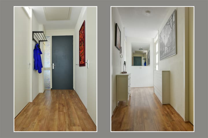 Foto 8 van Ringslang 35