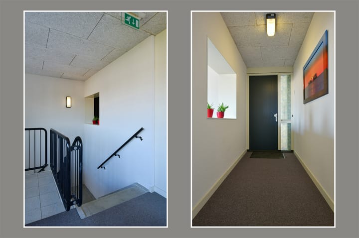 Foto 16 van Ringslang 35