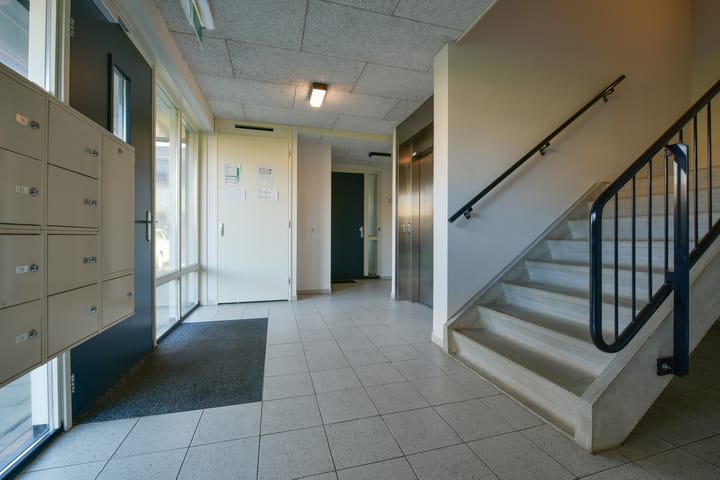 Foto 18 van Ringslang 35