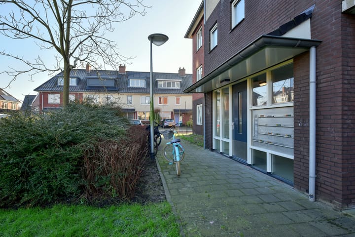 Foto 19 van Ringslang 35