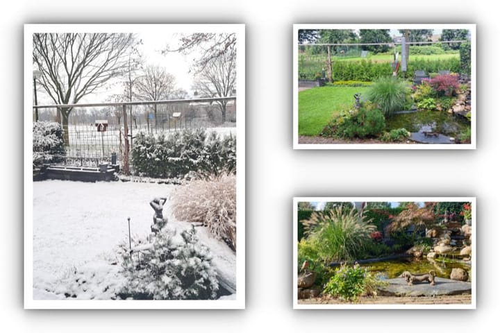 Foto 23 van Reespoor 34