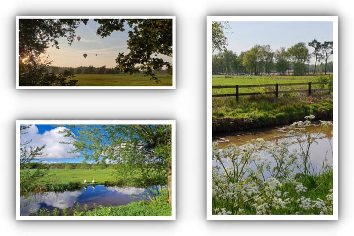 Foto 39 van Reespoor 34