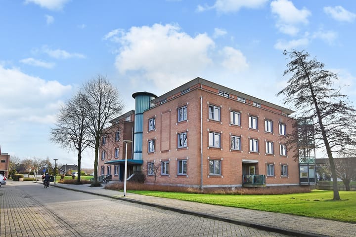 Foto 6 van Ridderspoor 116