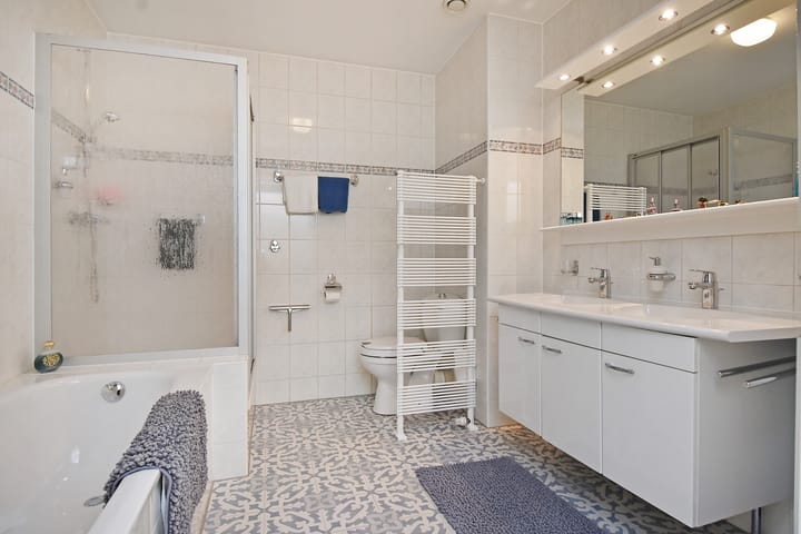 Foto 5 van Ridderspoor 116