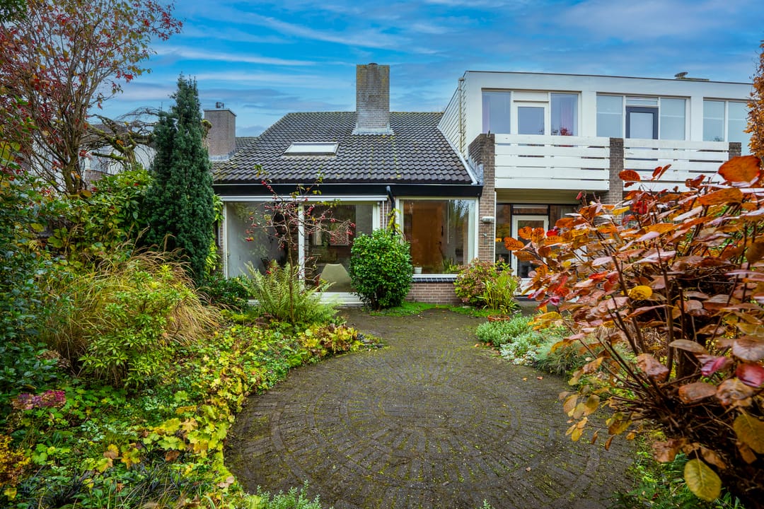 Foto 1 van Havikskruid 21