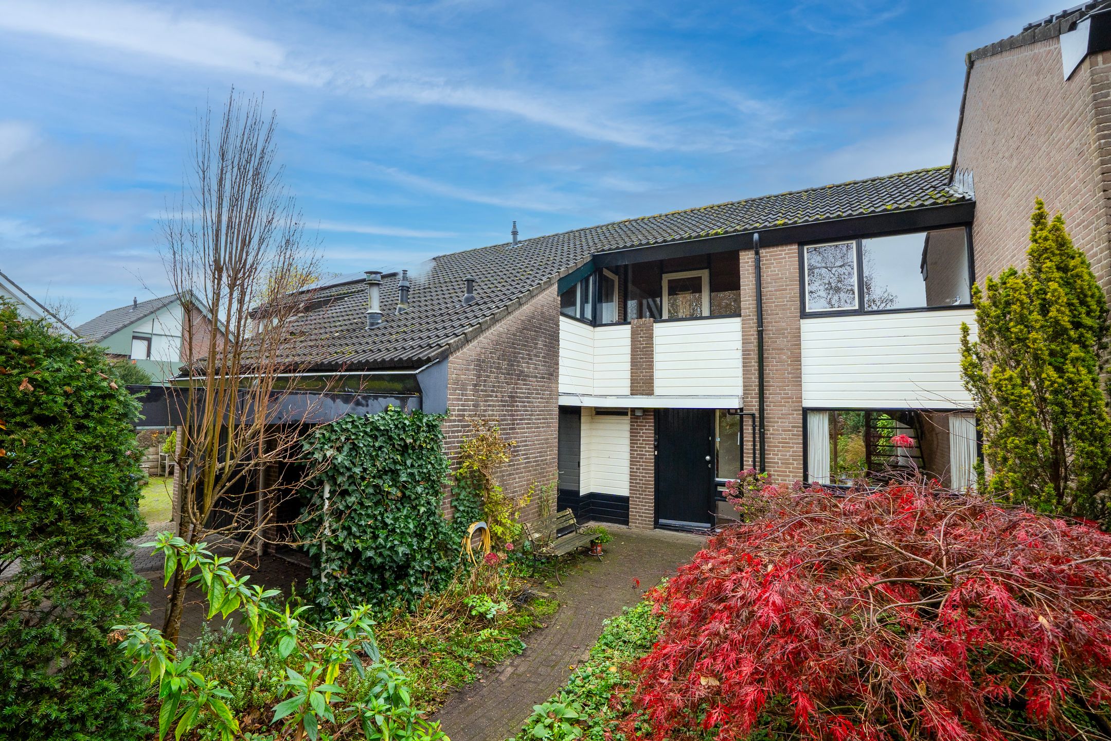 Foto 3 van Havikskruid 21