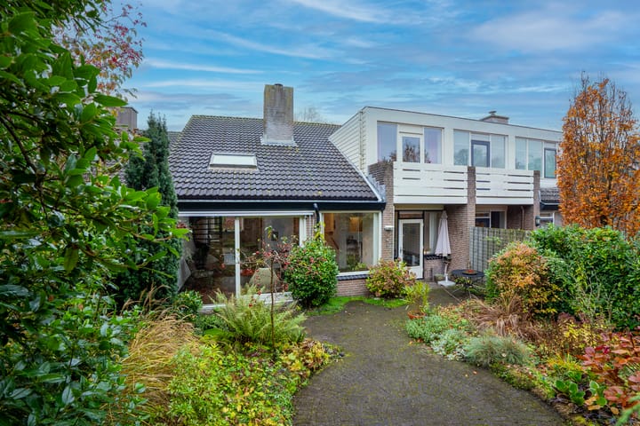 Foto 18 van Havikskruid 21