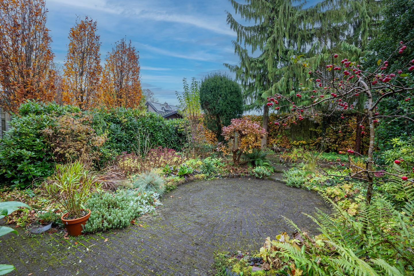 Foto 19 van Havikskruid 21