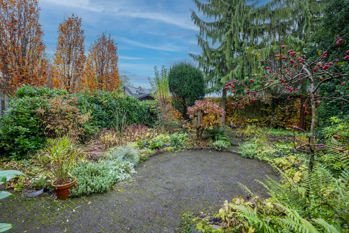 Foto 19 van Havikskruid 21